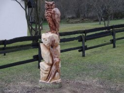 Eulen und Adler